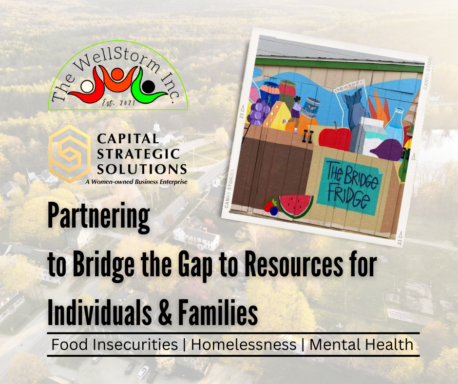 Partnering to Bridge The Gap Wellstorm partnership