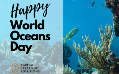 Happy World Ocean Day!