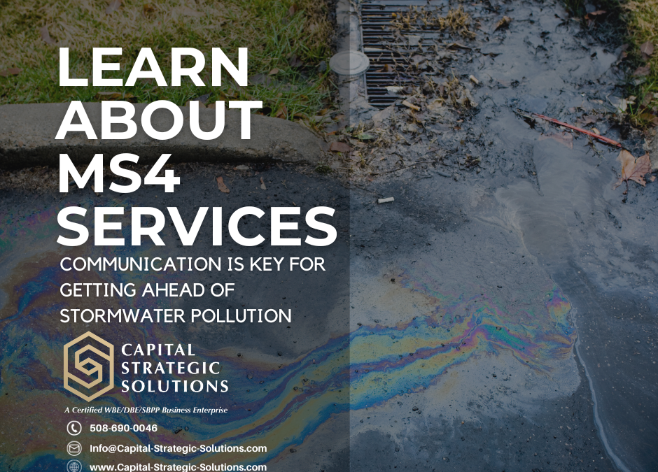 Image of MS4 Services