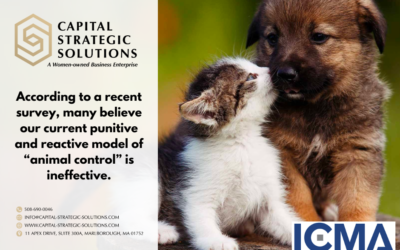 Insights from ICMA: What Does Your Community Actually Want from Animal Services?