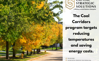State of Massachusetts Cool Corridors Tree Planting Grant Applications Open Through August 2