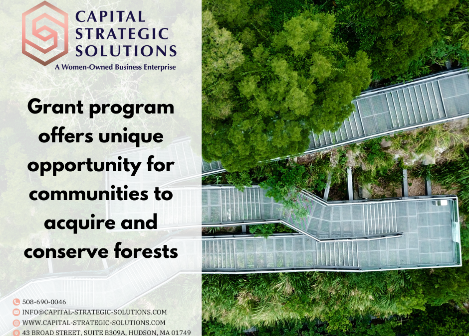 US Forest Service Community Forest Program Now Accepting Grant Applications for FY 2025