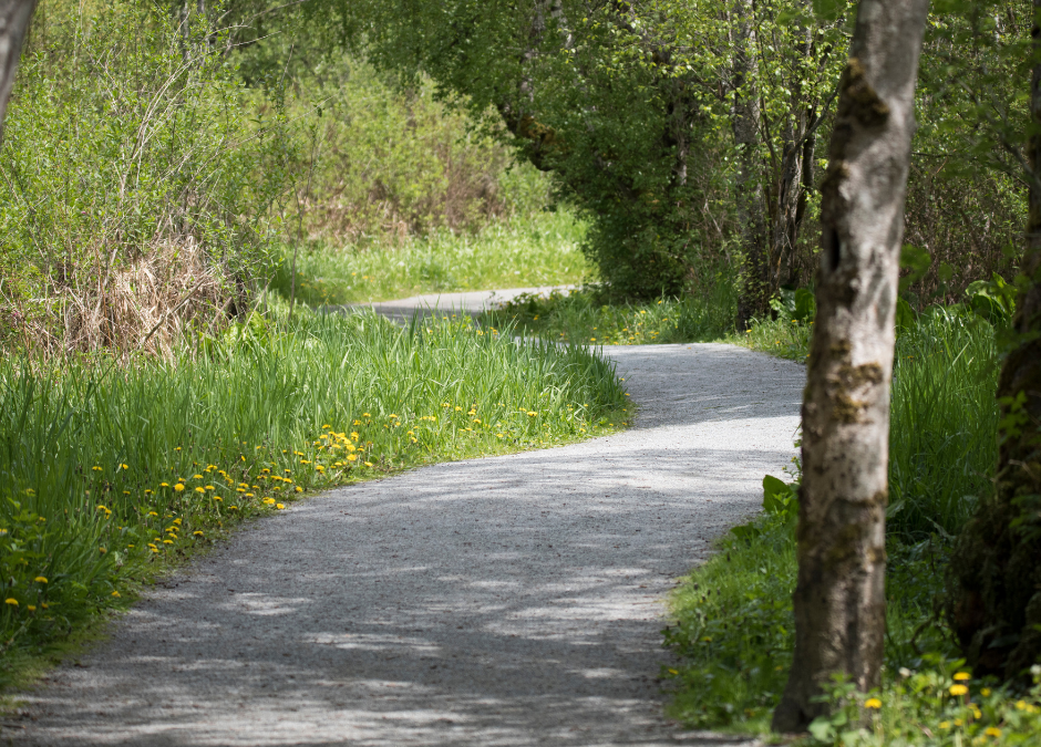 Florida Department of Environmental Protection Announces Submission Period for Recreational Trails Program