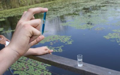 Maine Source Protection Grant: A Path to Cleaner Drinking Water 