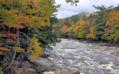 New Hampshire Source Water Protection Grant Program Pre-Applications Due May 21 
