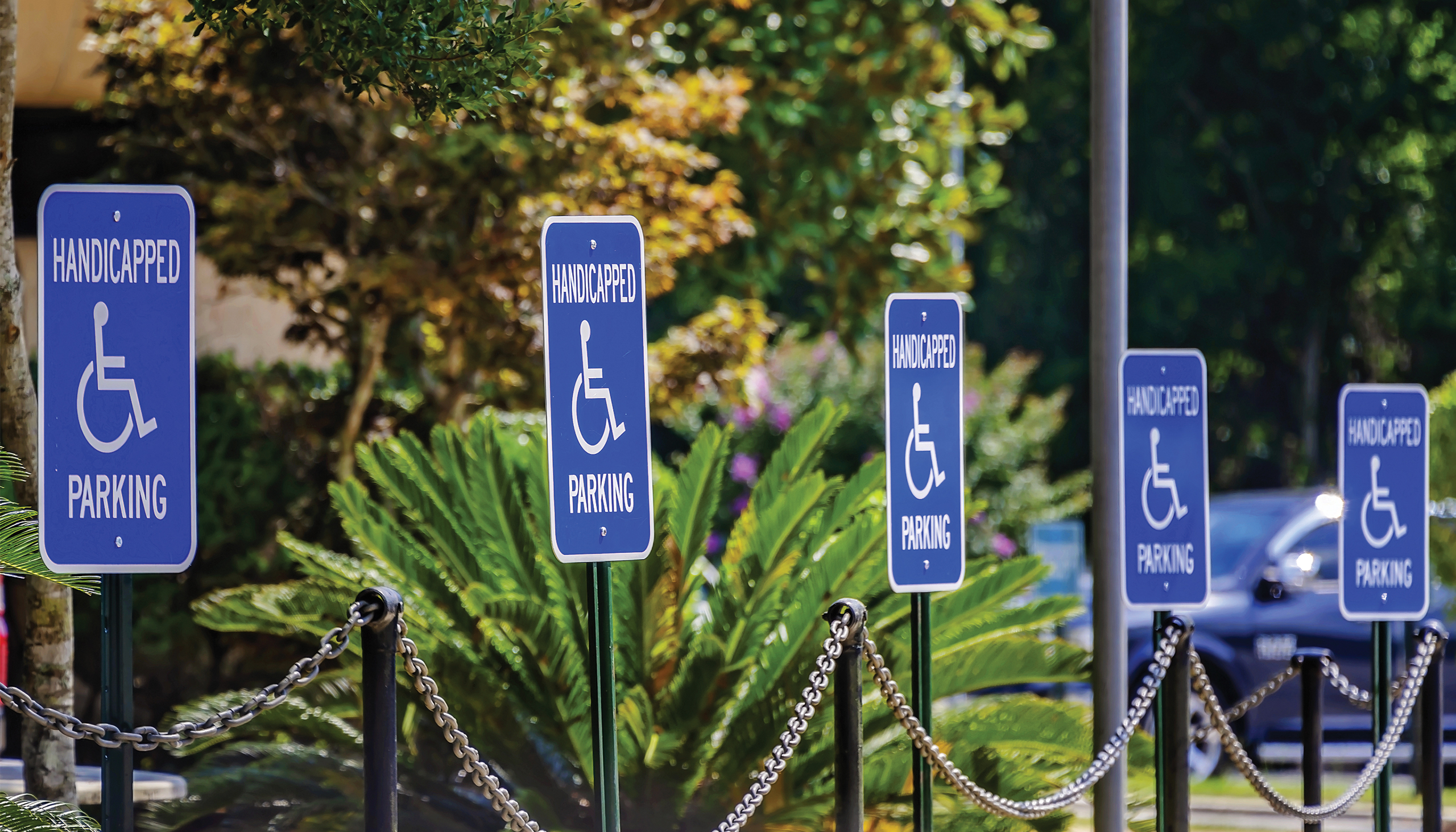 Handicapped parking signs in Bayou La Batre Alabama. Handicapped parking signs are locating in front of a medical clinic, June 14, 2024