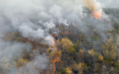 Preparing Your Community for New England’s Evolving Wildfire Risk
