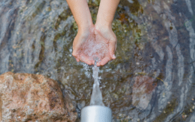 Water for Climate Action: Why Smarter Water Use Can Save Our Planet