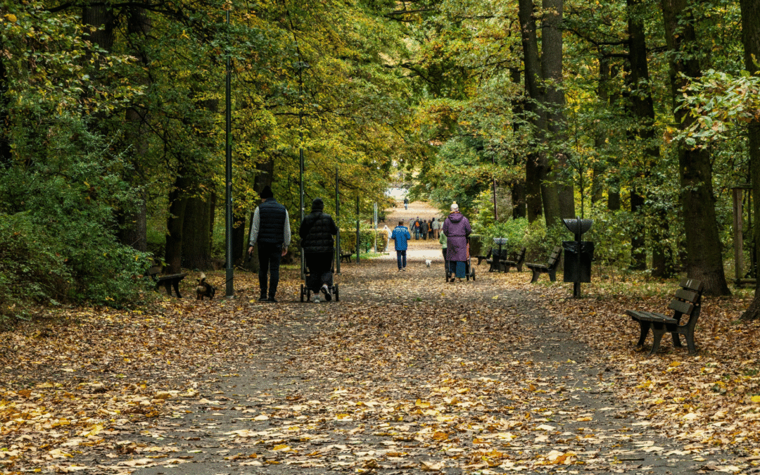 shaded park with fallen leaves and people walking