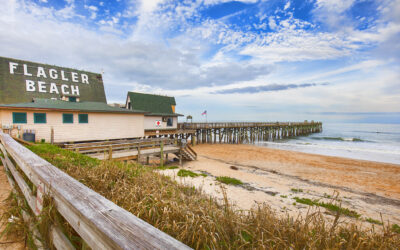 Bringing Decades of Municipal Finance Leadership to Flagler Beach